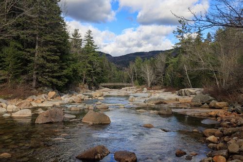 Albany Pine Bush Preserve