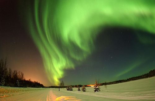 Alaska is that the Aurora Borealis, or northern lights, can be seen year-round.