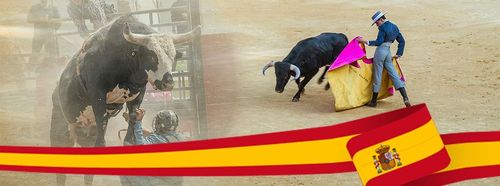 Fun Facts About Spain: Spain has many bullfighting arenas