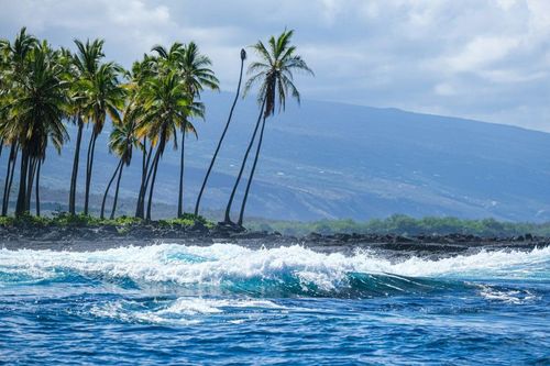 Tour the Puʻuhonua o Hōnaunau National Park on a Free Day