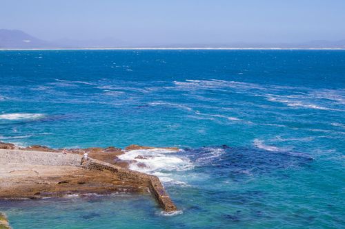 The coast town of Hermanus is highly regarded as the best place in the world for land-based whale watching.