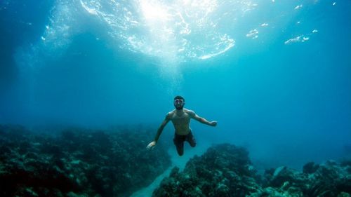 Snorkel at Kealakekua Bay